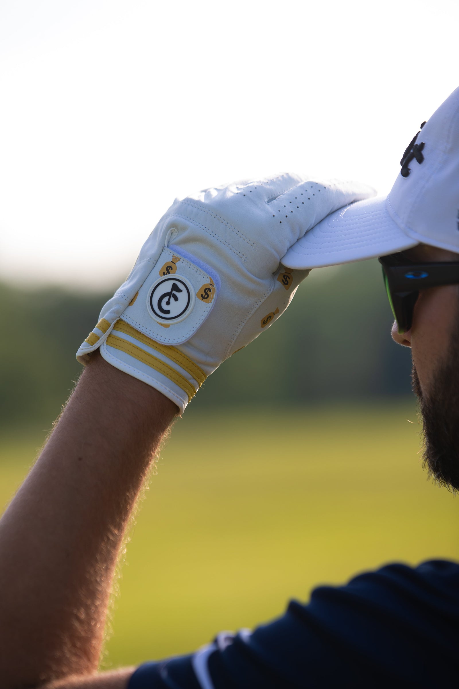 Money Bags Golf Glove