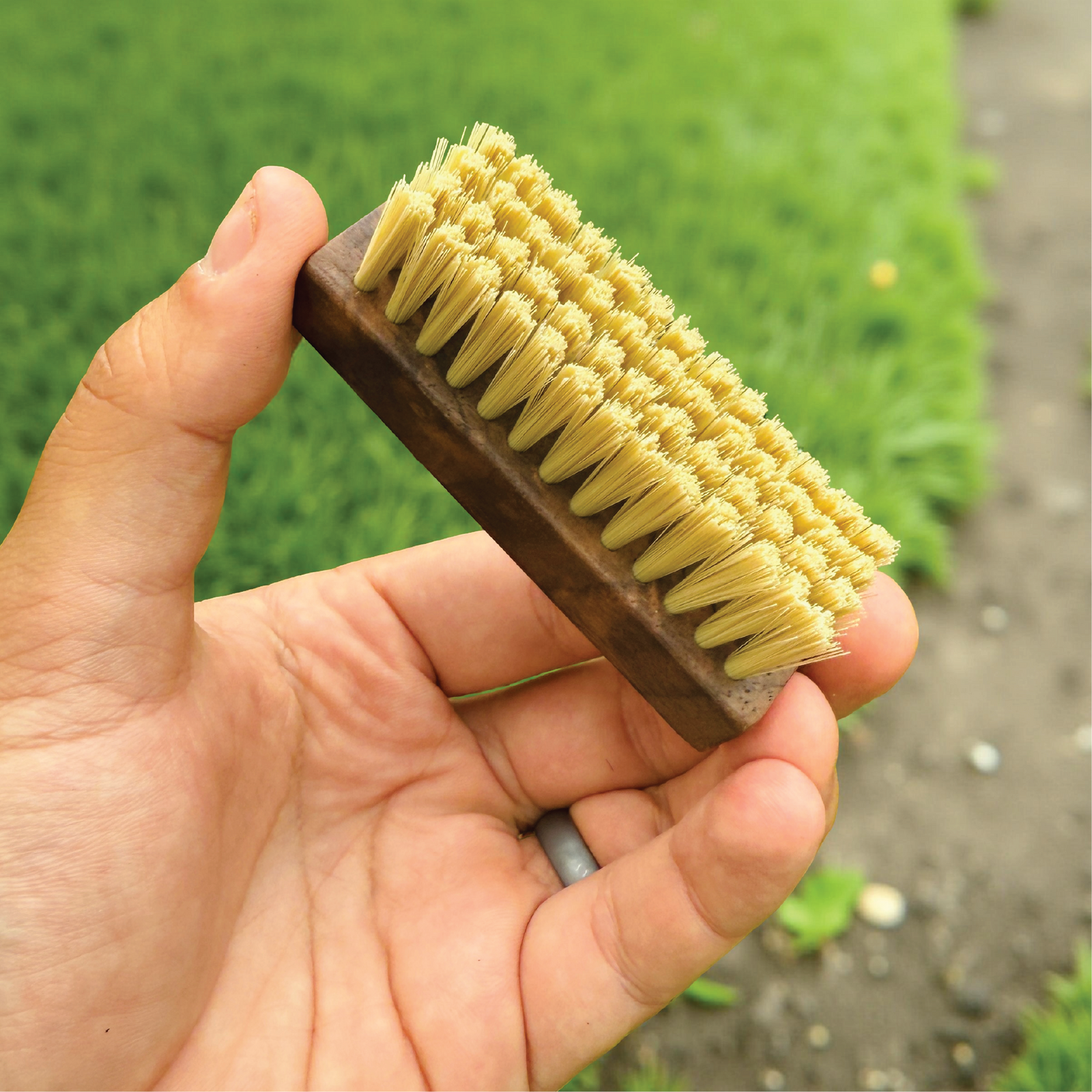 Caddy Splash Shoe Cleaning Kit