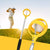 Golf Ball Retreivers
