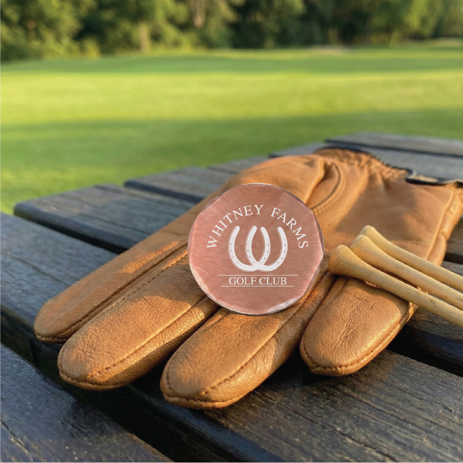 Custom Logo Copperlinks Ball Marker