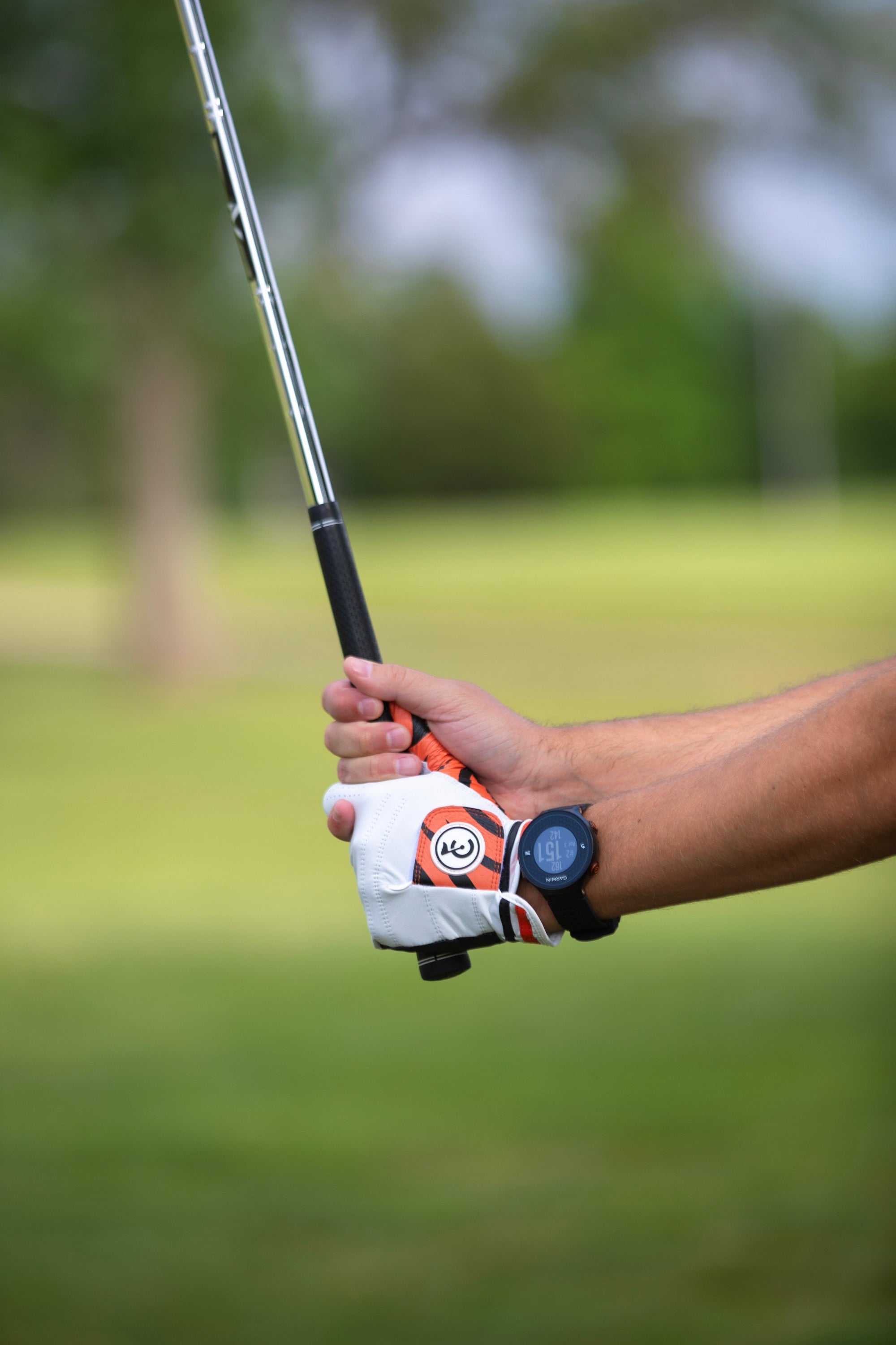 Tiger Golf Glove