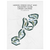 Pinehurst Resort and Country Club, The Cradle, North Carolina - Printed Golf Courses