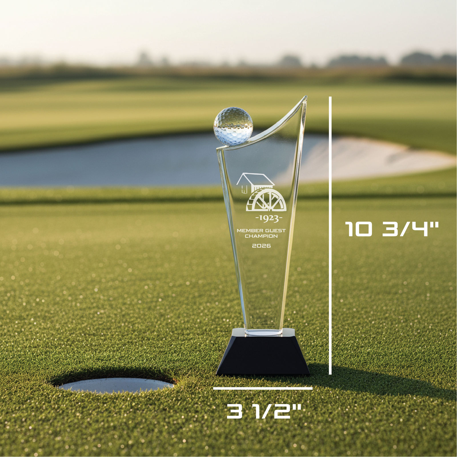 The Champion's Crystal