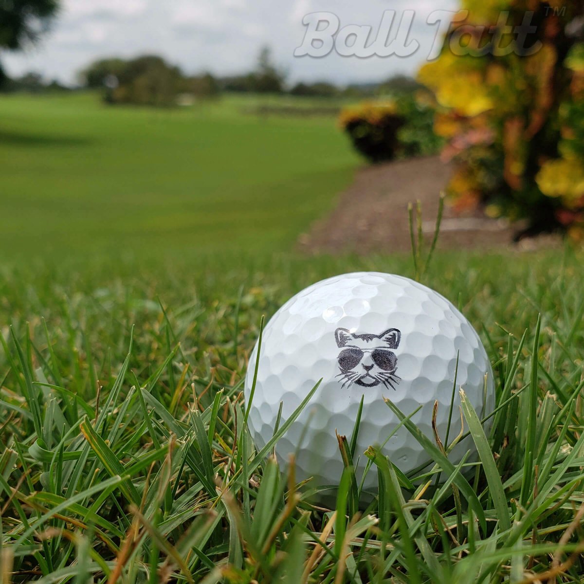 Cool Cat golf ball stamp for unique, durable ball marking on the course.