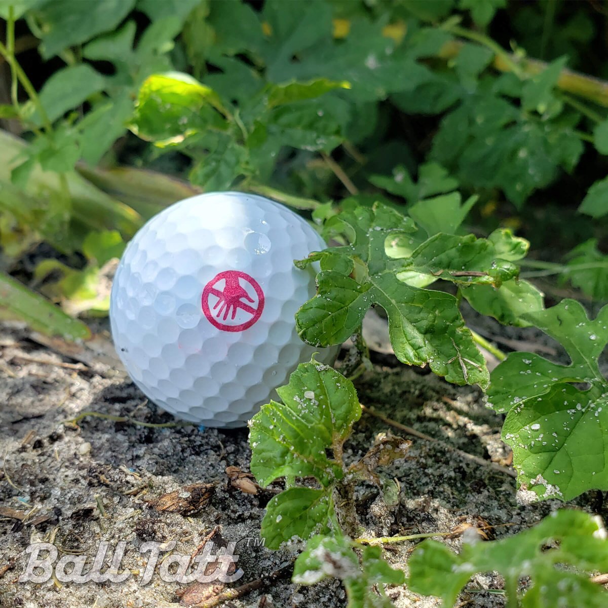 Don’t Touch golf ball stamp for unique and durable marking on golf balls.