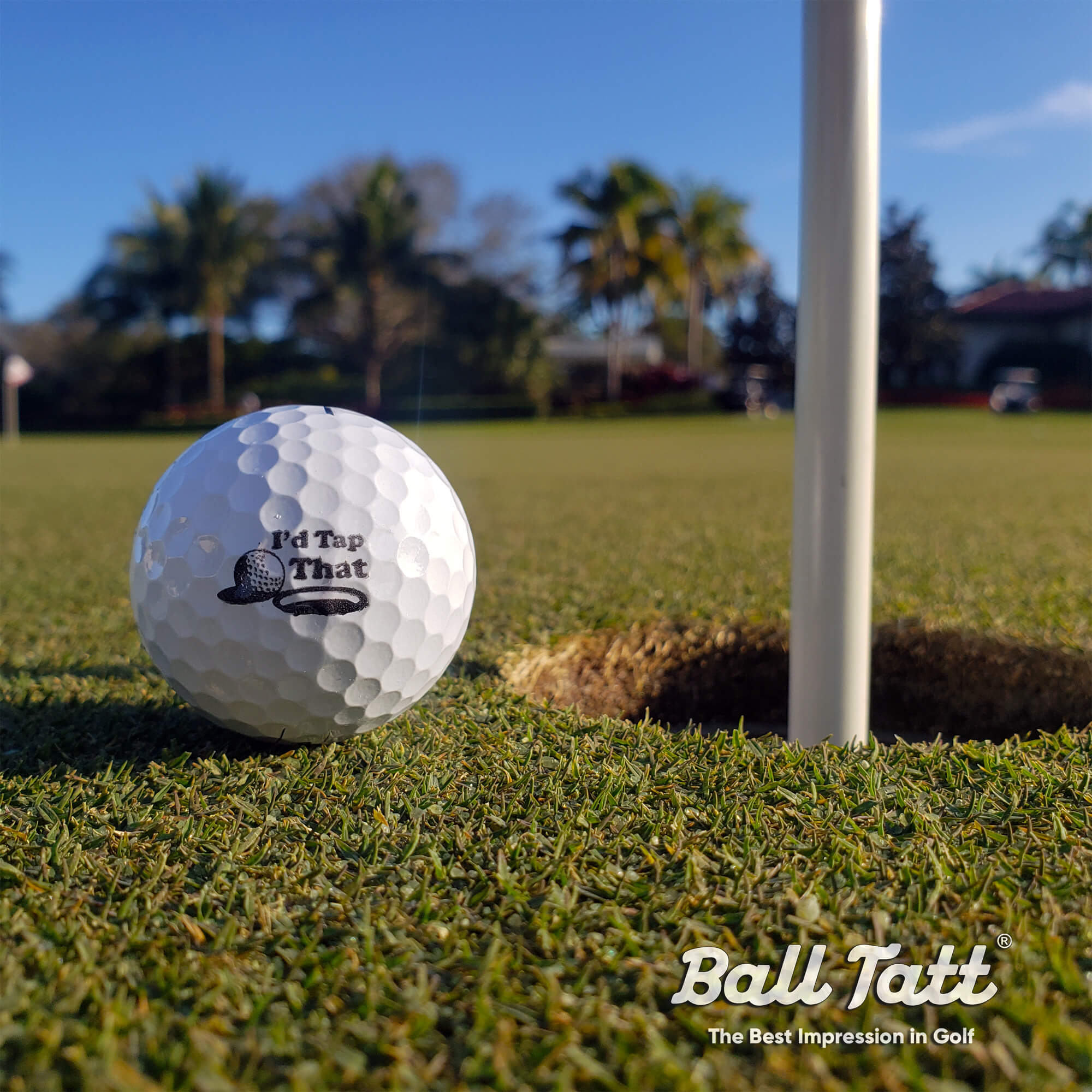 golf ball stamp with “I’d Tap That” design