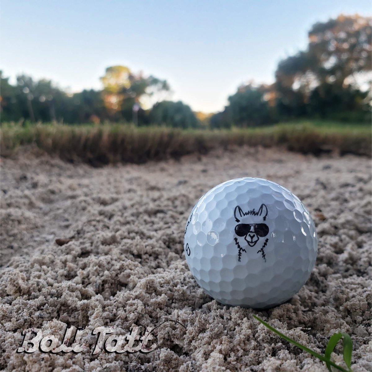 Funny No Probllama llama golf ball stamp for easy identification.