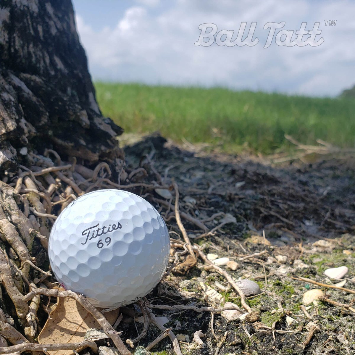 Titties 69 golf ball stamp for fun and easy golf ball identification.