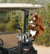 Fun Animal Golf Headcover in various animal designs