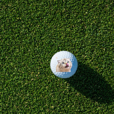 Custom Pet Golf Ball