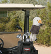 Birds of Prey